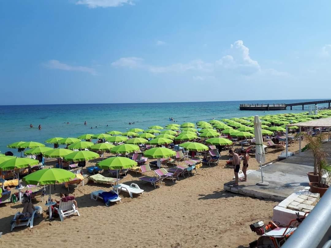 Giuchi * Avola